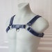 Blue Chest Harness with Buckle D-ring. Bondage Cage Outfit Gay Accessoires Cosplay Sex Puppy Erotic BDSM Fetish Rubber Gear Leather Pride 