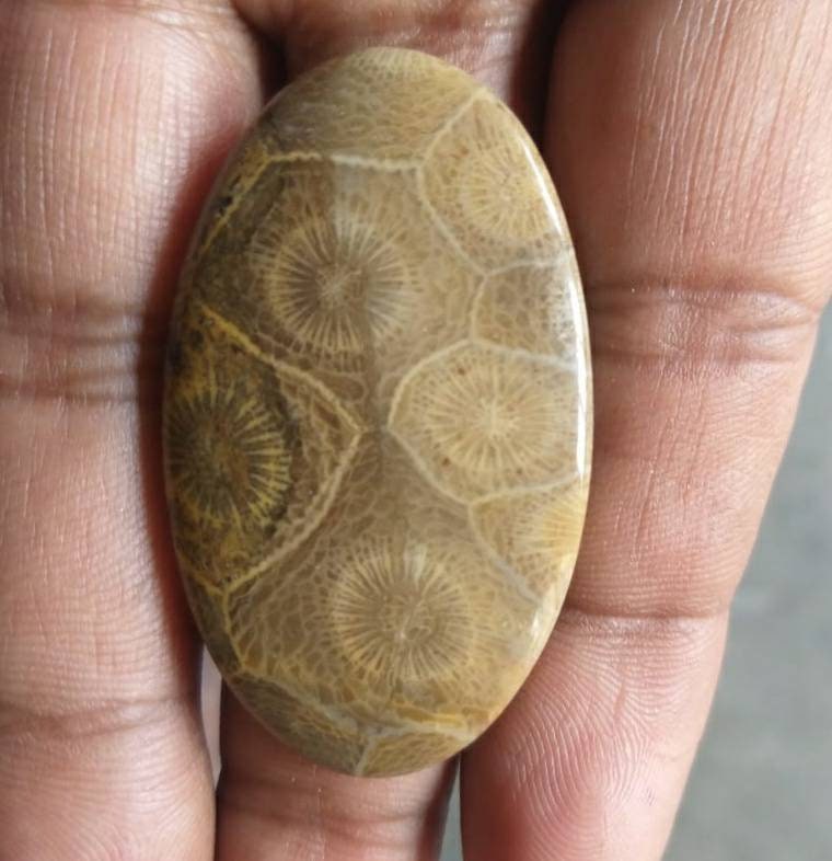 Beautiful top grade quality 100% natural Moroccan fossil coral radiant shape cabochon loose gemstone for making jewelry #86 43x35 mm 77ct