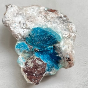 Rare Cavansite Mineral Specimen, Cavansite on Mordenite Specimen, Raw Cavansite for Home and Decor, Blue Cavansite Crystal Mineral Specimen.