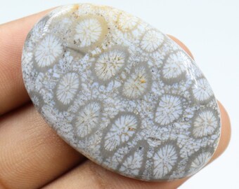 Dazzling Quality Fossil Coral Cabochon, Wire Wrapping, Natural Fossil Coral Stone, Pendant & Jewellery Making, Fossil Coral Cab, Loose Stone