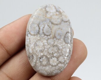 Dazzling Quality Fossil Coral Cabochon, Wire Wrapping, Natural Fossil Coral Stone, Pendant & Jewellery Making, Fossil Coral Cab, Loose Stone