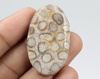 Dazzling Quality Fossil Coral Cabochon, Wire Wrapping, Natural Fossil Coral Stone, Pendant & Jewellery Making, Fossil Coral Cab, Loose Stone