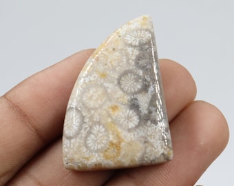 Dazzling Quality Fossil Coral Cabochon, Wire Wrapping, Natural Fossil Coral Stone, Pendant & Jewellery Making, Fossil Coral Cab, Loose Stone