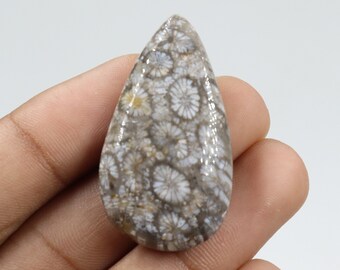 Dazzling Quality Fossil Coral Cabochon, Wire Wrapping, Natural Fossil Coral Stone, Pendant & Jewellery Making, Fossil Coral Cab, Loose Stone