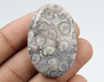 Dazzling Quality Fossil Coral Cabochon, Wire Wrapping, Natural Fossil Coral Stone, Pendant & Jewellery Making, Fossil Coral Cab, Loose Stone