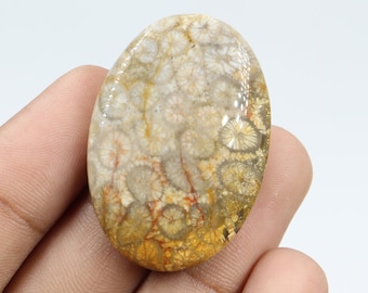 Dazzling Quality Fossil Coral Cabochon, Wire Wrapping, Natural Fossil Coral Stone, Pendant & Jewellery Making, Fossil Coral Cab, Loose Stone
