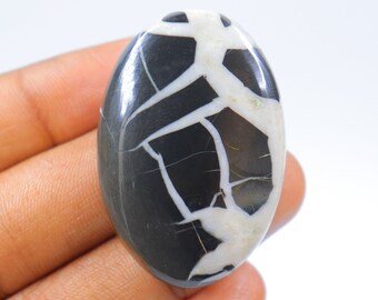 Könnte beinhalten: Ein ovaler Cabochon-Edelstein in Schwarz und Weiß mit einem einzigartigen, komplizierten Muster. Der Stein hat eine glatte, polierte Oberfläche und ist ideal für die Schmuckherstellung.