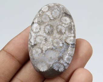 Dazzling Quality Fossil Coral Cabochon, Wire Wrapping, Natural Fossil Coral Stone, Pendant & Jewellery Making, Fossil Coral Cab, Loose Stone