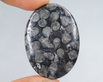 Cabujón de coral fósil negro de diseño, piedra de coral fósil negro natural, coral fósil negro suelto para joyería, coral fósil