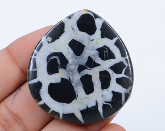 Könnte beinhalten: Ein schwarzer und weißer Achat-Cabochon mit einem einzigartigen, komplizierten Muster. Der Cabochon ist tropfenförmig und hat eine glatte, polierte Oberfläche.
