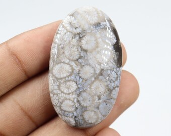 Dazzling Quality Fossil Coral Cabochon, Wire Wrapping, Natural Fossil Coral Stone, Pendant & Jewellery Making, Fossil Coral Cab, Loose Stone