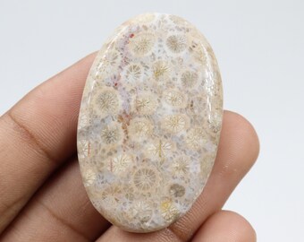 Dazzling Quality Fossil Coral Cabochon, Wire Wrapping, Natural Fossil Coral Stone, Pendant & Jewellery Making, Fossil Coral Cab, Loose Stone