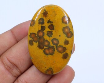 May include: Oval-shaped gemstone with a yellow base and brown, circular patterns. The polished stone has a smooth surface and is held against a white background. The gemstone is a natural material, likely used for jewelry or decorative purposes.