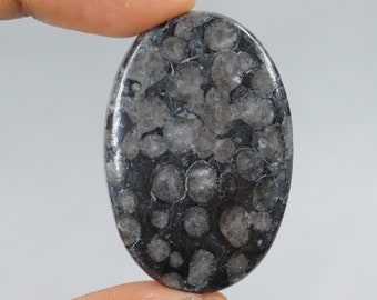 Cabujón de coral fósil negro de diseñador, piedra de coral fósil negro natural, coral fósil negro suelto para joyería, cabujón de coral fósil