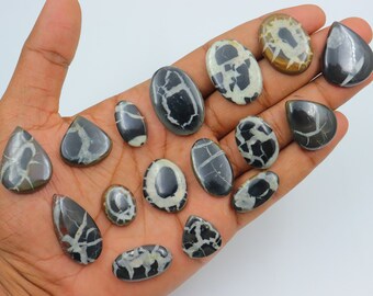 May include: A collection of 15 black and white gemstone cabochons with a unique, swirling pattern. The cabochons are in various shapes, including oval, teardrop, and round.