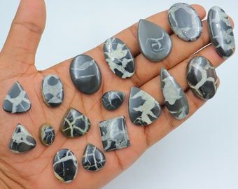 May include: A collection of 16 black and white gemstone cabochons with a variety of shapes and sizes. The cabochons have a unique, swirling pattern.