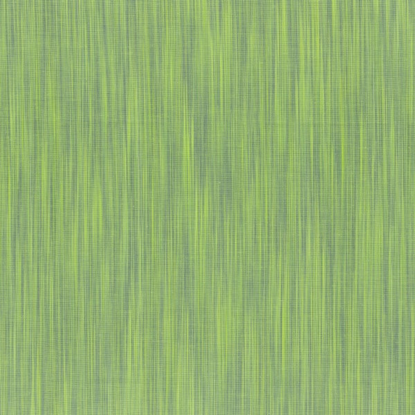 Figo - Space Dye - Woven Pistachio Fabric-sold by the half yard, cut continuously