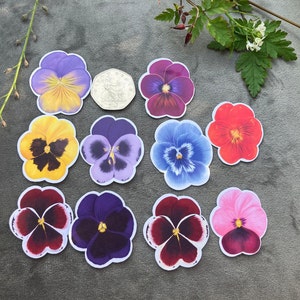 Simpatico set di adesivi realistici con fiori lucidi e viola del pensiero, per bullet journal, artigianato, scrapbooking, planner, inviti, amanti della natura.