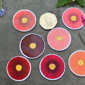 Realistico pacchetto di adesivi con fiori margherite inglesi rotondi. Lucido per bullet journal, artigianato, scrapbooking, pianificatori, decoupage, inviti