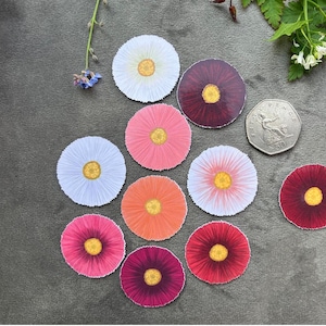 Realistische stickerbundel met Engelse madeliefjesbloem. Glanzend voor bulletjournals, knutselen, scrapbooking, planners, decoupage, uitnodigingen