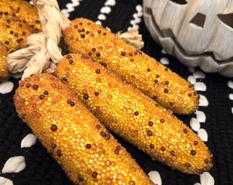 Pacote de milho indiano com contas