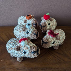 Capybara Rat - Herbst