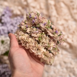 Könnte beinhalten: Ein Stapel getrockneter Blumenkränze in Beige- und Lilatönen. Die Kränze bestehen aus kleinen, zarten Blüten und sind kreisförmig angeordnet.