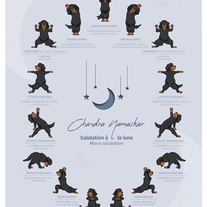 Affiche Poster Yoga Salutation à la lune - Moon salutation - Setter Gordon chien/dog