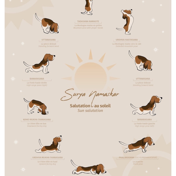 Poster Poster Yoga Sun Salutation - Sun greeting - Basset hound dog/dog