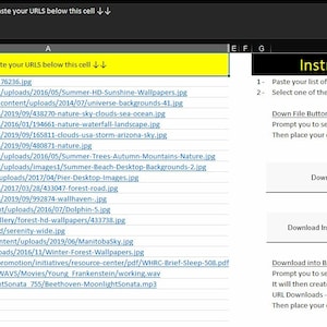May include: A screenshot of a spreadsheet with a list of URLs in column A. The spreadsheet has instructions for downloading files from the URLs. The instructions say to paste the list of URLs starting in cell A2 and to select one of the two buttons below. The buttons are "Download Files" and "Download Into Brand New DIR".