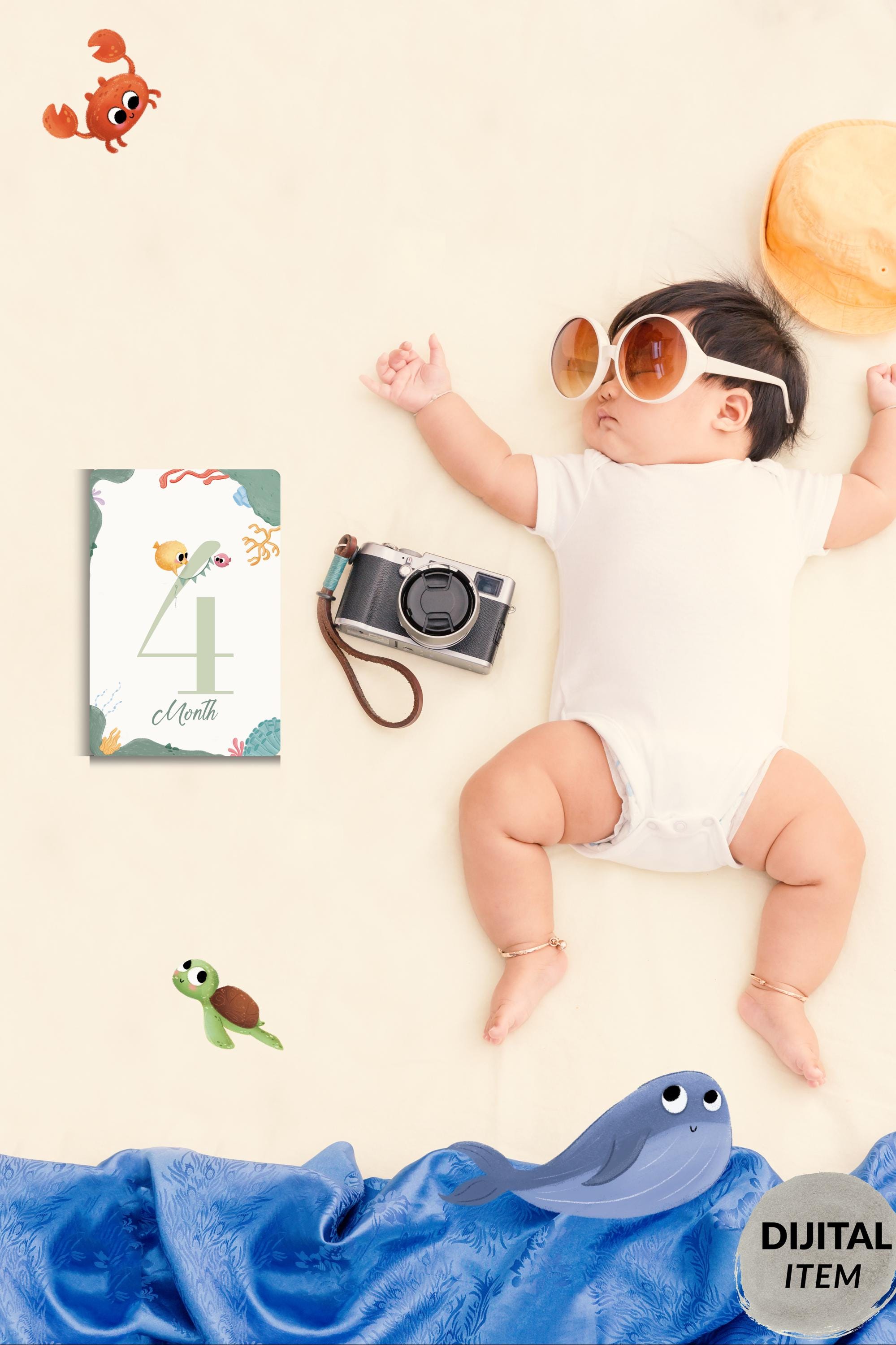 Ocean Theme Baby Milestone Cards - Printable Monthly Photo Props ...