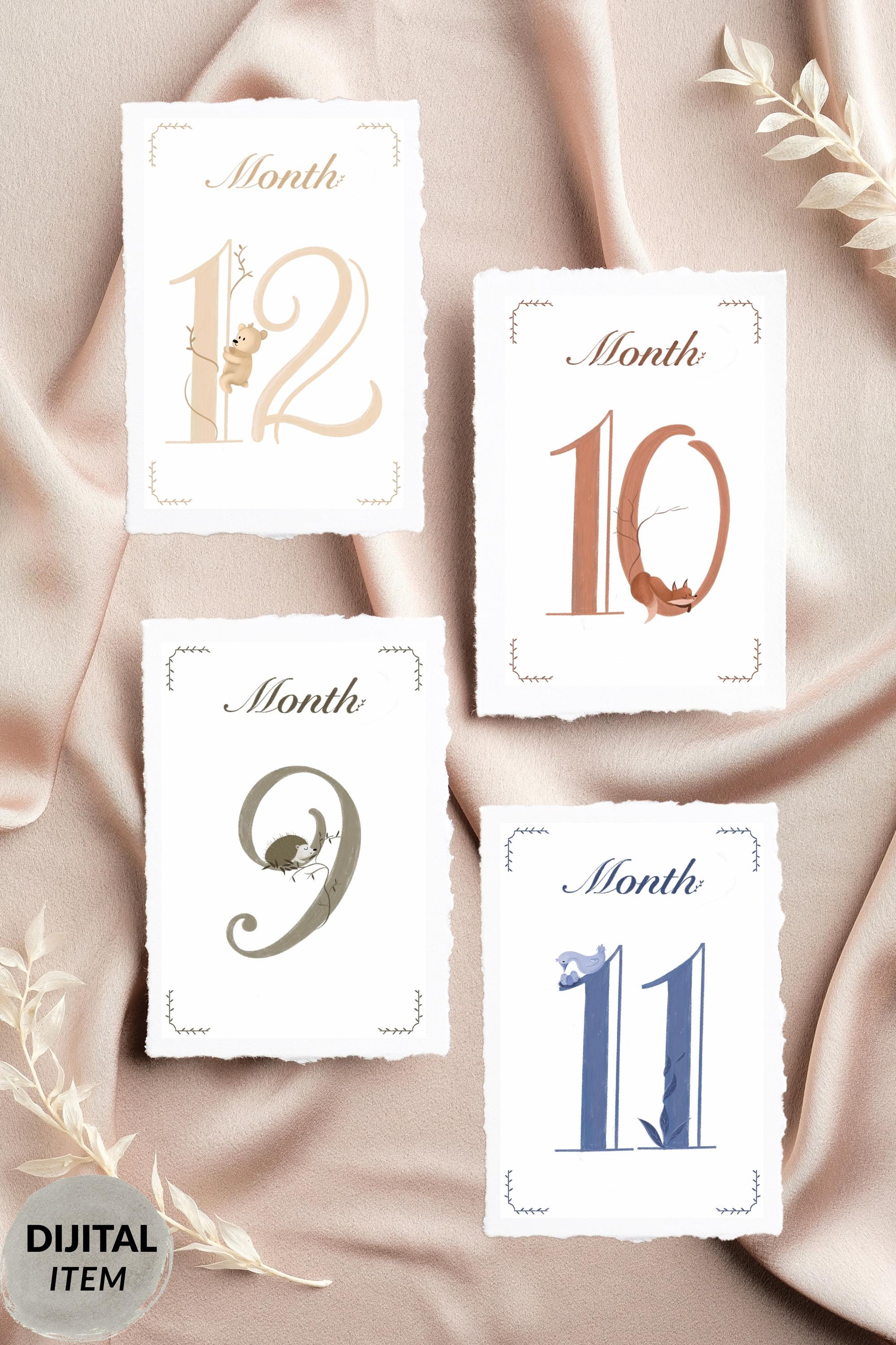 Forest Baby Milestone Cards: Woodland Animals, Monthly Photo Props (PDF ...