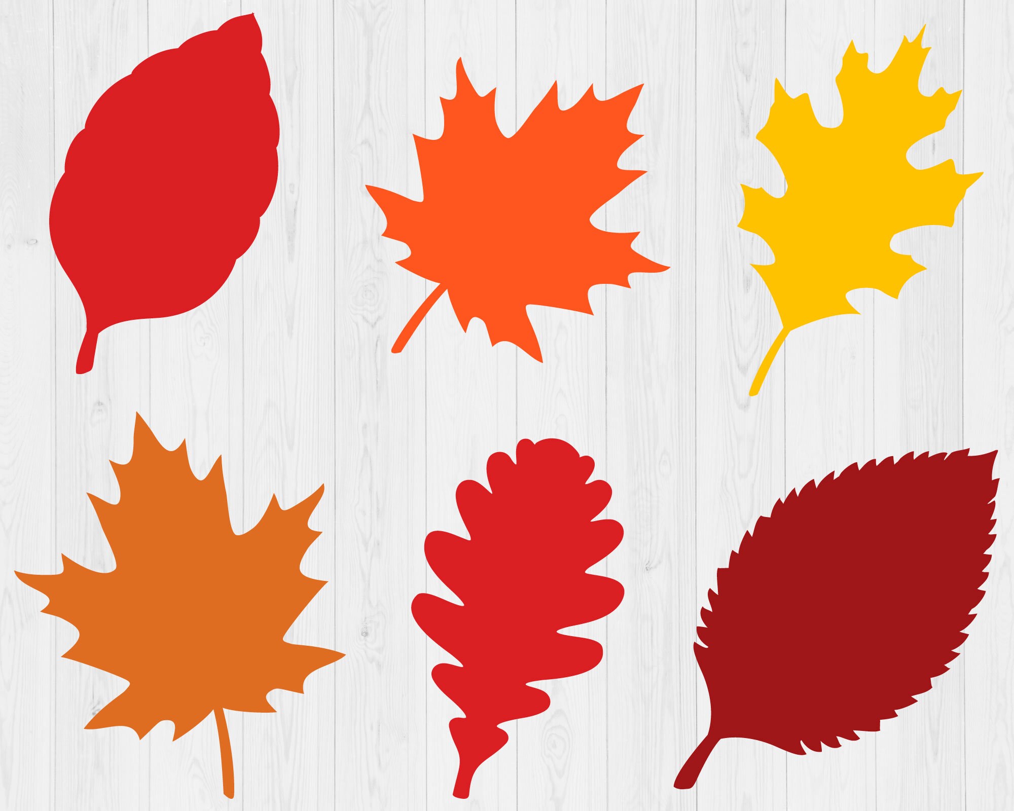 Fall Leaves Cut Out Pattern