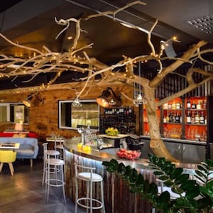 Peut inclure: Un bar rustique avec un comptoir en bois et une grande branche d'arbre au-dessus. Le bar a un comptoir incurvé avec des tabourets et une variété de boissons exposées. La branche d'arbre est décorée de lumières et a une ambiance rustique et naturelle.