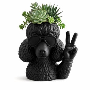 May include: A matte black poodle-shaped planter featuring a textured curly coat, wearing black aviator sunglasses, and holding up a hand in a peace sign gesture. The top of the poodle head is filled with a variety of green succulent plants.