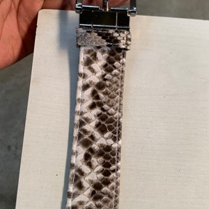 May include: A brown and white snakeskin belt with a silver buckle.