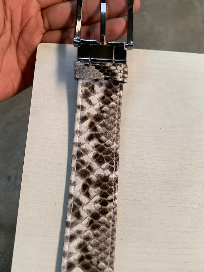 May include: A brown and white snakeskin belt with a silver buckle.