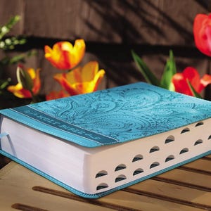 NIV Bible for Teen Girls: Growing in Faith, Hope, and Love [Thumb Index Tabs, CARIBBEAN BLUE]