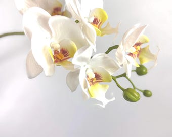 23.5" Real Touch Phalaenopsis Orchid Spray