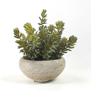 May include: A small, artificial succulent plant with numerous pointed, olive-green leaves arranged in clusters. The plant is potted in a round, bowl-shaped container with a textured, light gray, stone-like finish and a wide, curved base.