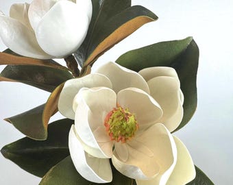 May include: A magnolia branch featuring two large, open white flowers with smooth, rounded petals and a central cluster of light green and orange stamens. The branch includes several thick, glossy, dark green leaves with brown undersides.