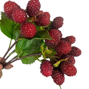 May include: A cluster of artificial raspberries featuring deep red, textured fruit with a bumpy surface. The berries are attached to thin, brown stems and are interspersed with several vibrant green leaves that have visible veins and serrated edges.