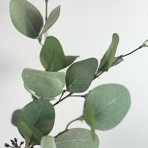 Puede incluir: Una rama decorativa de eucalipto con hojas redondeadas de color verde salvia con venas visibles y tallos delgados de color marrón oscuro. La rama incluye pequeños racimos de brotes en las puntas, mostrando un aspecto botánico natural.