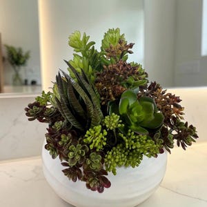 以下が含まれることがあります： 緑、濃い紫、茶色の様々な色合いの人工多肉植物のアレンジメントが入った、白い丸みを帯びたセラミックボウル。トゲのあるもの、ロゼット状のもの、小さな葉の品種が容器の中に集められています。