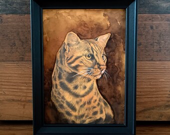 Bengal Cat, Hand drawn painting with graphite pencils and watercolor, Framed, Portrait Drawing, Gift, Pets, Handmade 24x18cm - Not Print