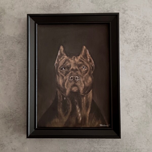 Cane Corso, Handgezeichnete Malerei mit Graphitstiften, Eingerahmt, Portrait Zeichnung, Geschenk, Haustiere, Handgemacht 24x18 cm - Nicht gedruckt