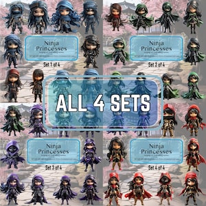 Forty 40 Ninja Princesses Digital Download Images | All 4 Sets | Transparent PNGs | 300 dpi High-Resolution | Instant Download | Fantasy Art
