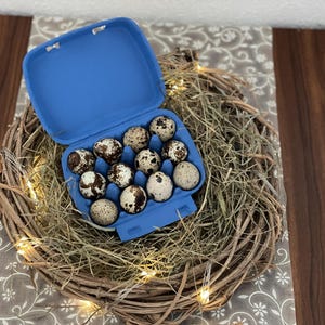 Può includere: Un cartone blu per uova pieno di uova di quaglia macchiate, adagiato in una ghirlanda intrecciata con erba secca e lucine. La composizione è su un tessuto a fantasia floreale e una superficie in legno.