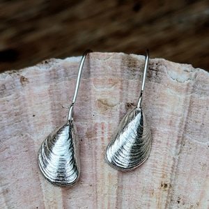 Sterling Silver Mussel Shell- Dainty drop earrings