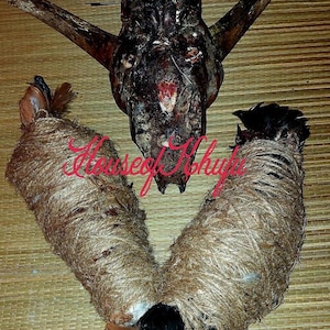 Puede incluir: Un cráneo de animal marrón oscuro con grandes cuernos, envuelto en cuerda, con dos cadáveres de animales más pequeños envueltos en cuerda a cada lado del cráneo.